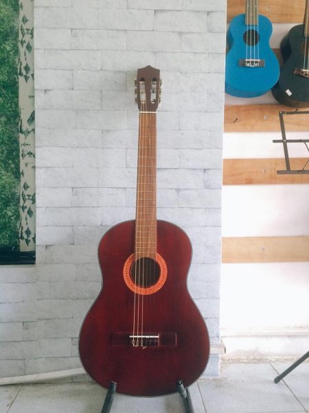 Guitar Classic DT-CL120