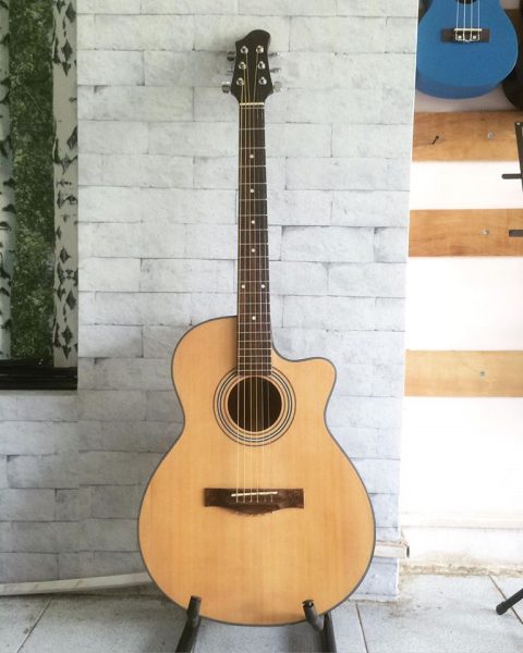 Guitar Acoustic DT-013