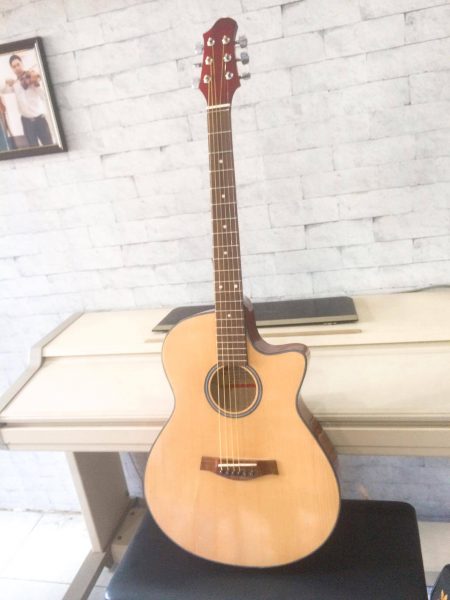 Guitar Acoustic DT-012