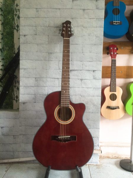 Guitar Acoustic DTAC 012