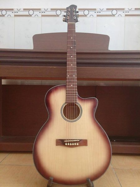 Guitar acoustic DT012