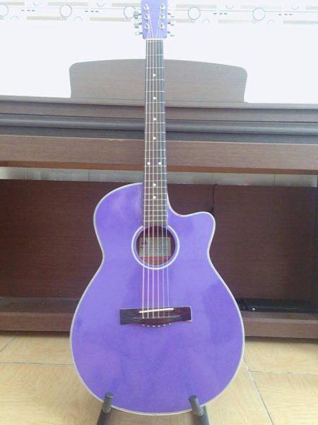 Guitar Acoustic DT135