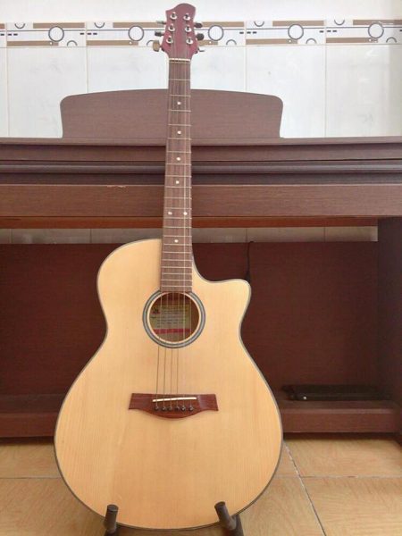 Guitar Acoustic DT012