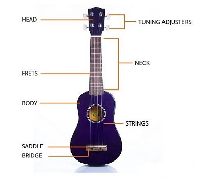 Những điều thú vị về cây đàn ukulele!!!