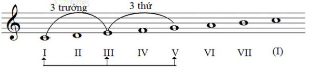 3-bac-hop-am