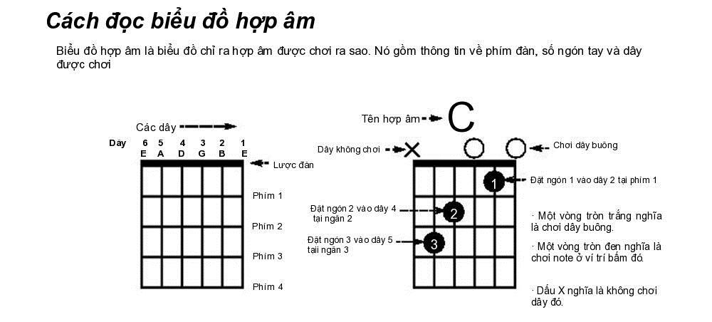 Cách tự học Hợp âm đàn GUITAR Cơ Bản cho người mới học