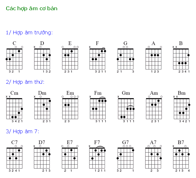 Học Hợp âm đàn GUITAR Cơ Bản cho người mới học