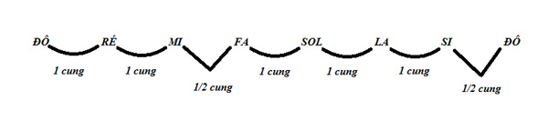 cung-va-nua-cung-guitar