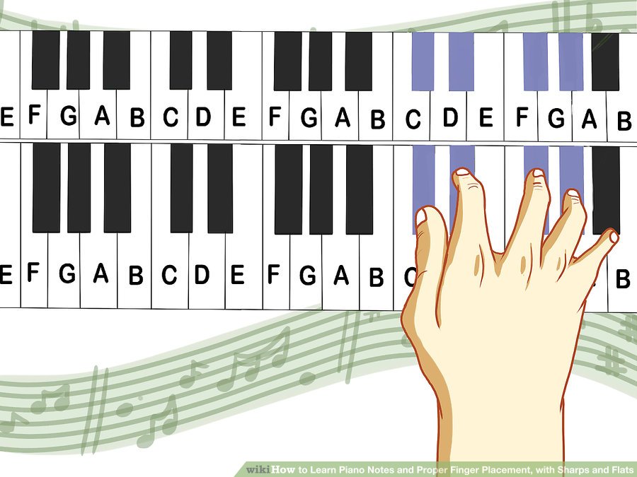 Học nốt nhạc và cách đặt vị trí các ngón tay khi chơi Piano