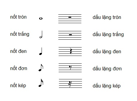 Cần nắm rõ Nhạc lý cơ bản khi tự học đàn piano tại nhà