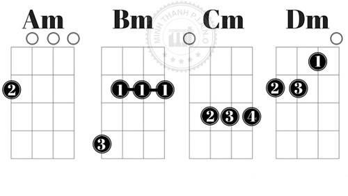 Hướng dẫn học đàn ukulele cơ bản